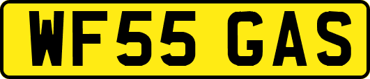 WF55GAS