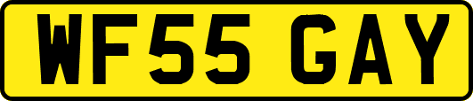 WF55GAY