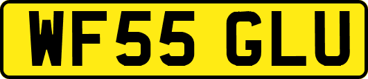 WF55GLU