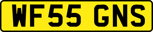 WF55GNS