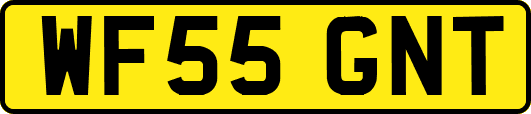 WF55GNT