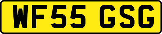 WF55GSG