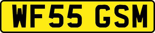 WF55GSM