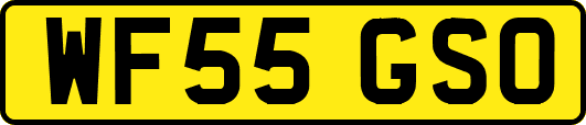 WF55GSO
