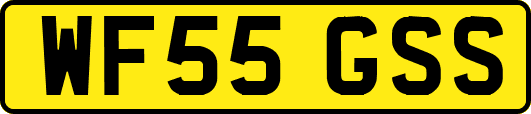 WF55GSS