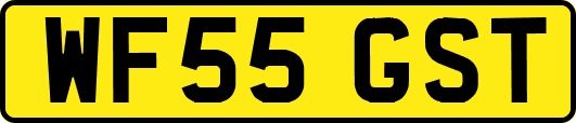 WF55GST