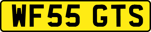 WF55GTS