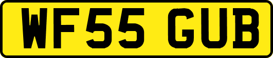 WF55GUB