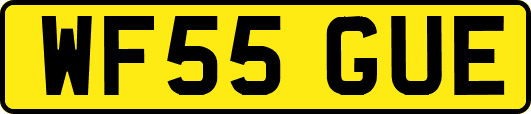 WF55GUE