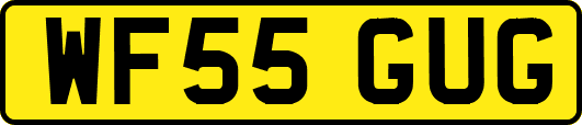 WF55GUG