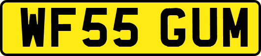 WF55GUM