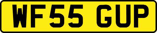 WF55GUP