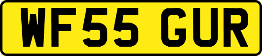 WF55GUR