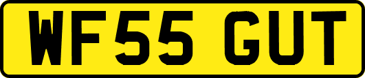 WF55GUT