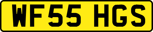 WF55HGS