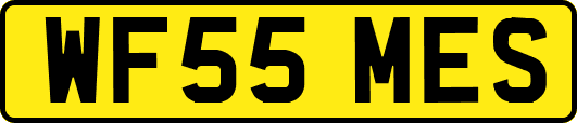 WF55MES