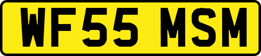 WF55MSM