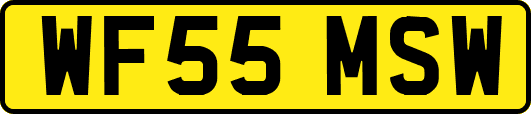 WF55MSW