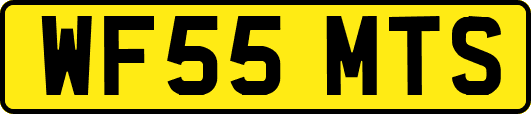 WF55MTS