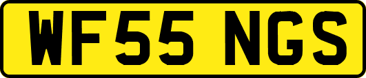 WF55NGS