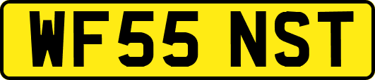 WF55NST