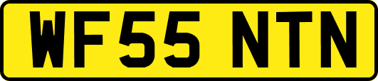 WF55NTN