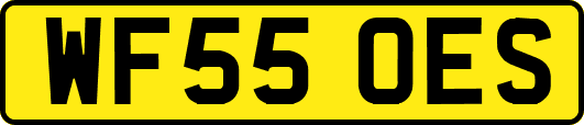 WF55OES