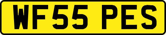 WF55PES