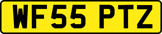 WF55PTZ
