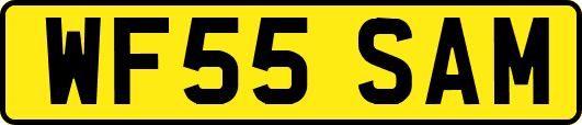 WF55SAM