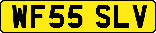 WF55SLV