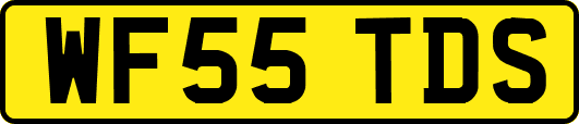 WF55TDS