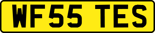WF55TES