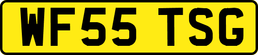 WF55TSG