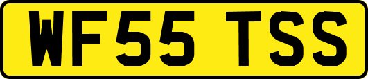 WF55TSS