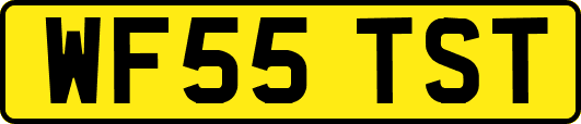 WF55TST
