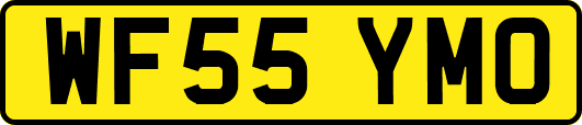 WF55YMO