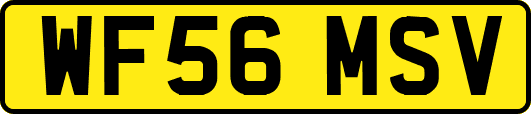 WF56MSV