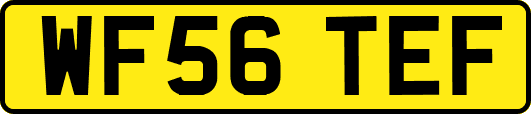 WF56TEF