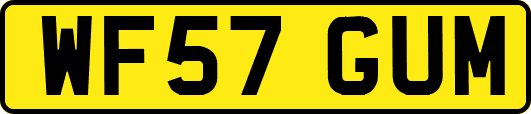 WF57GUM
