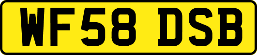 WF58DSB