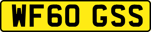 WF60GSS