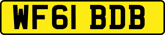 WF61BDB