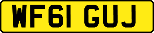 WF61GUJ