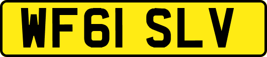 WF61SLV