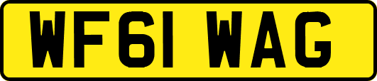 WF61WAG