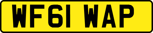 WF61WAP