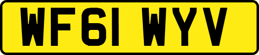 WF61WYV