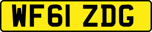 WF61ZDG