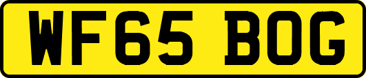 WF65BOG